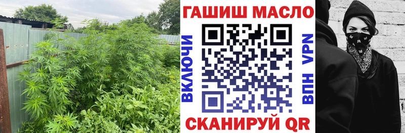ТГК жижа  Купить где  Цивильск 